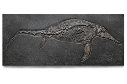 イクチオサウルス