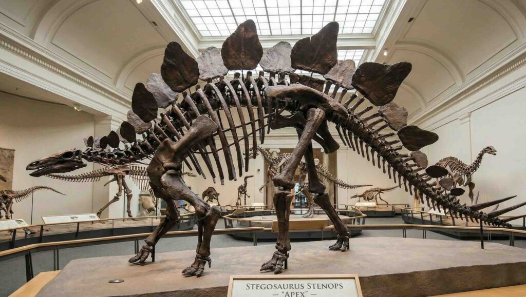 【富裕層の新たな資産】なぜいま「恐竜の化石」が数億、数十億円で落札されるのか？古生物学と投資が融合する未知のマーケットへの招待. APEX