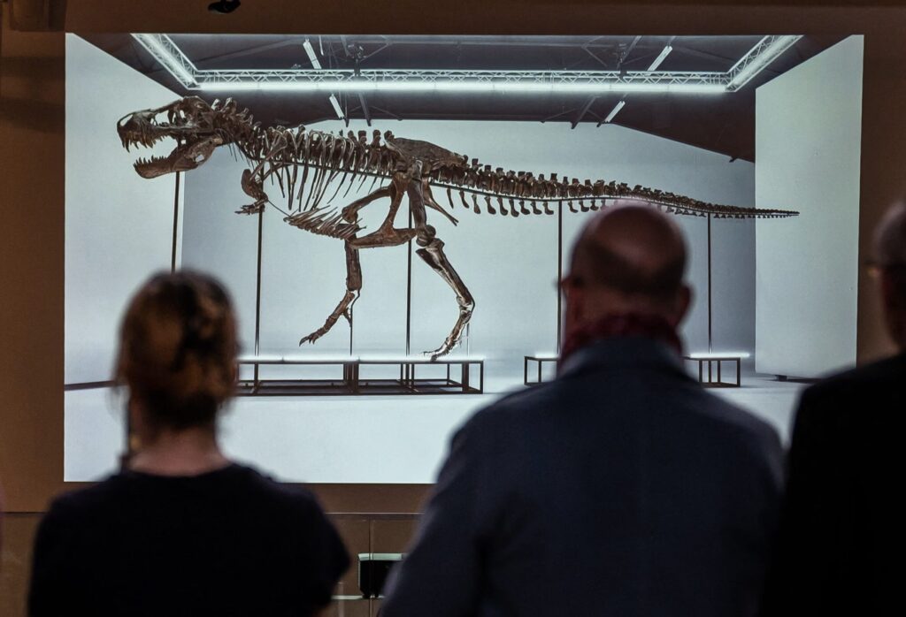 【2026年最新】恐竜の全身骨格オークション落札価格まとめ|投資価値と最新の購入実態を解説09