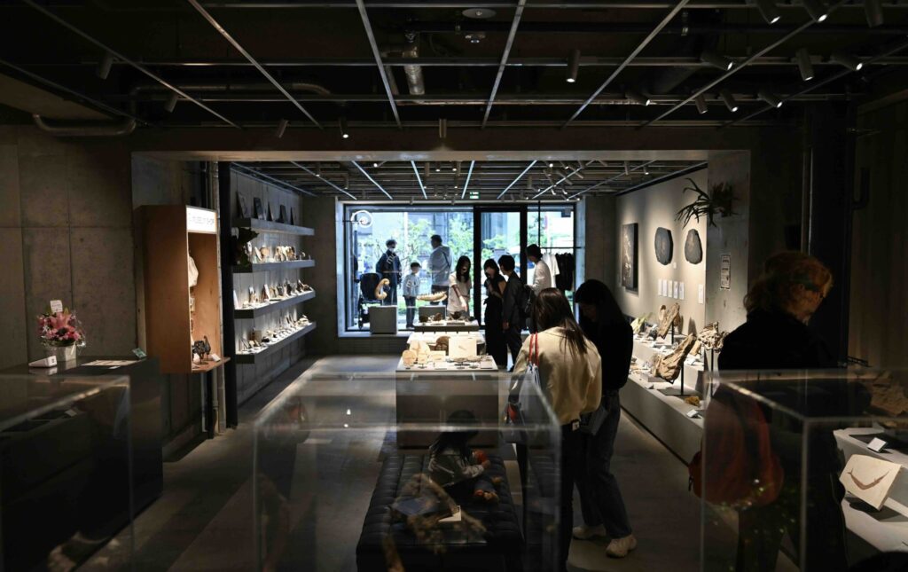 買える化石博物館 TOKYO